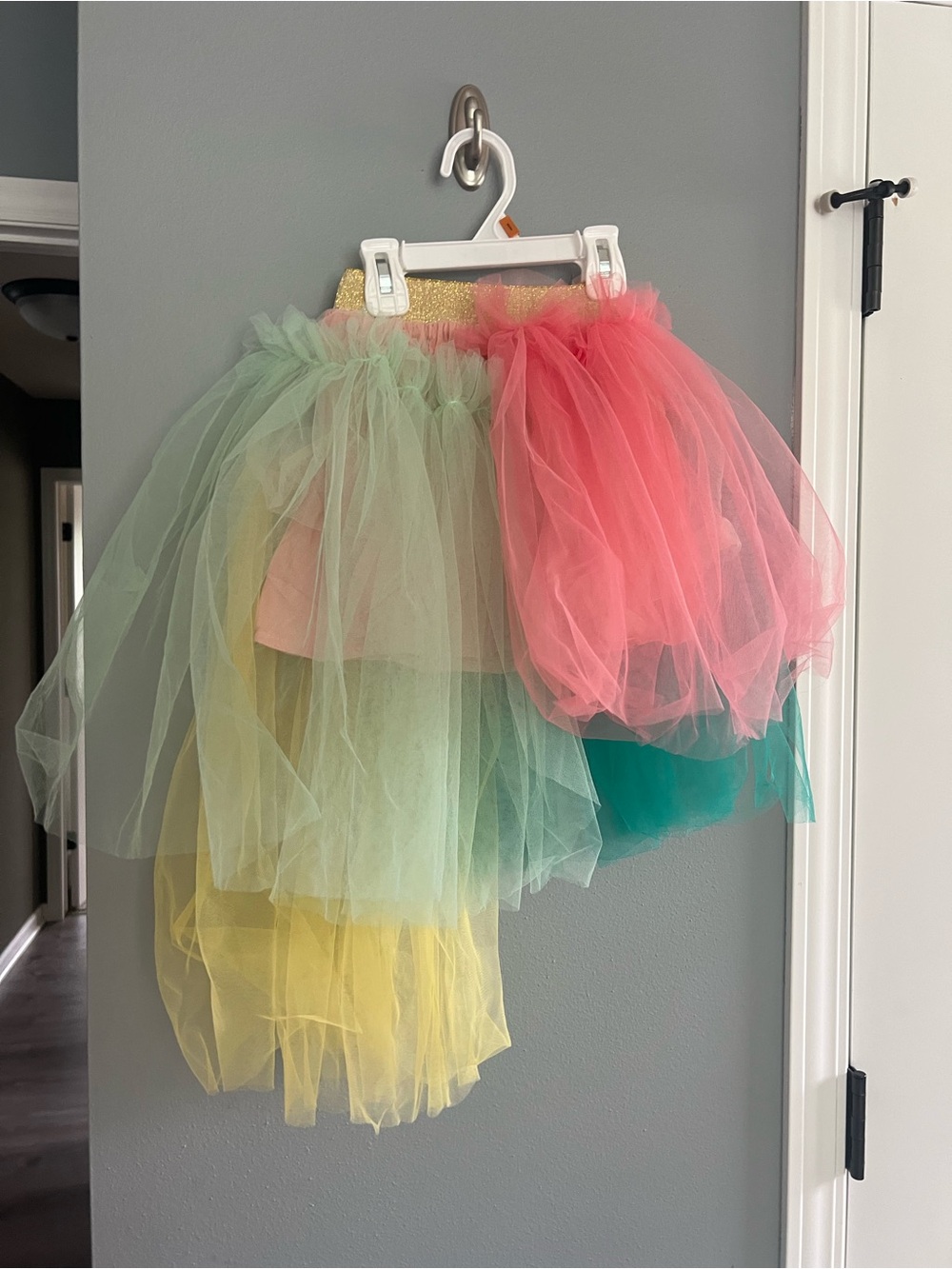 Raspberry Plum Tutu